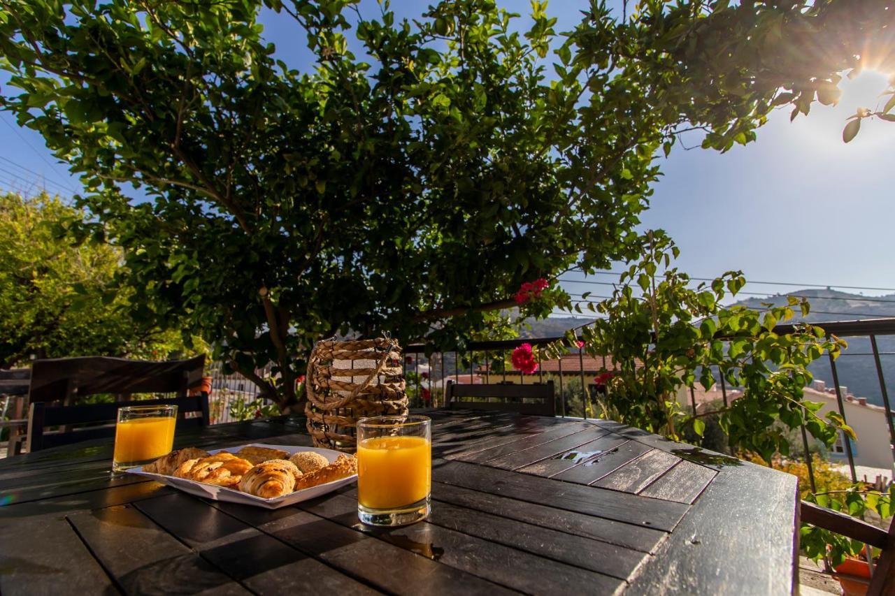 Kalavasos View Traditional Apartments Екстер'єр фото